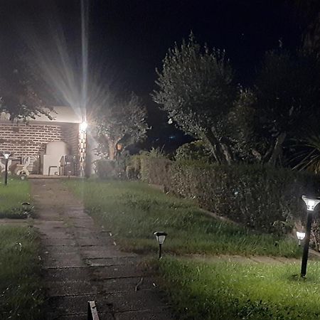 Casa Das 3 Palmeiras 아라이오로스 외부 사진